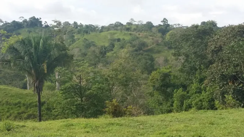 Pavones Ocean View Land for Sale - 4