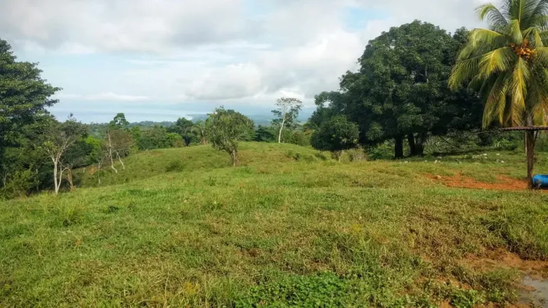 Pavones Ocean View Land for Sale thumbnail 1