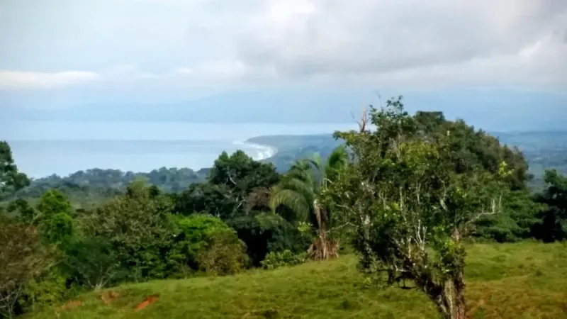 Pavones Ocean View Land for Sale - 2