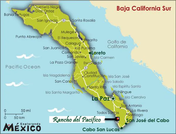 Rancho Gaspareño – Oceanfront Development - 2