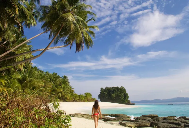 Indonesia Boutique Surf Resort for Sale thumbnail 7