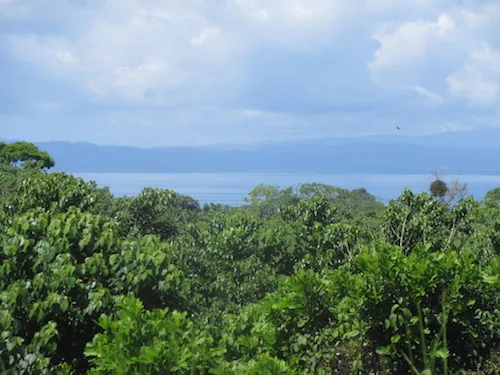 Provincia de Puntarenas, Costa Rica