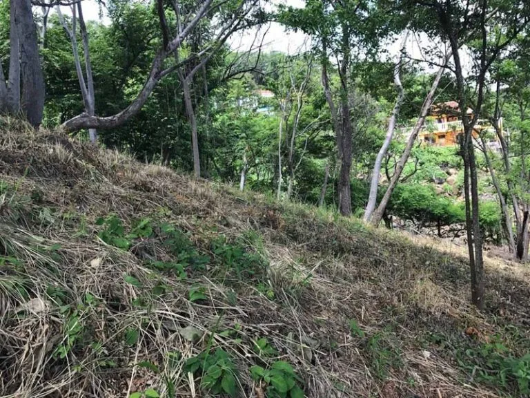 Oceanfront Lot In Redonda Bay thumbnail 8