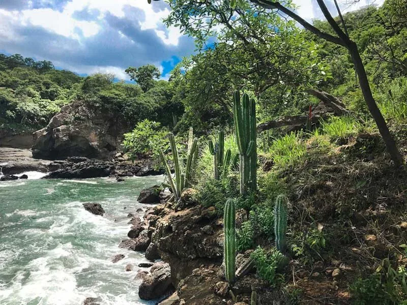 Oceanfront Lot In Redonda Bay - 4