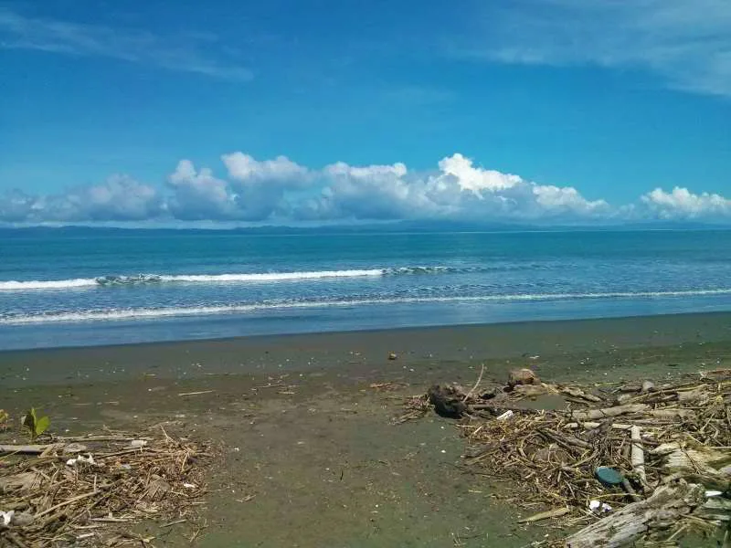 Isla Dulce thumbnail 8