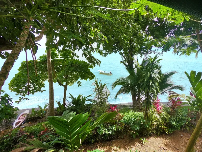 Isla Dulce thumbnail 1