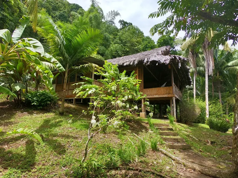 Isla Dulce - 2