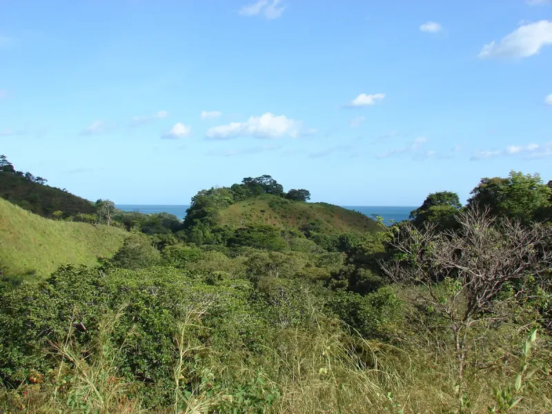 Vista Playa Cambutal Lots - 4