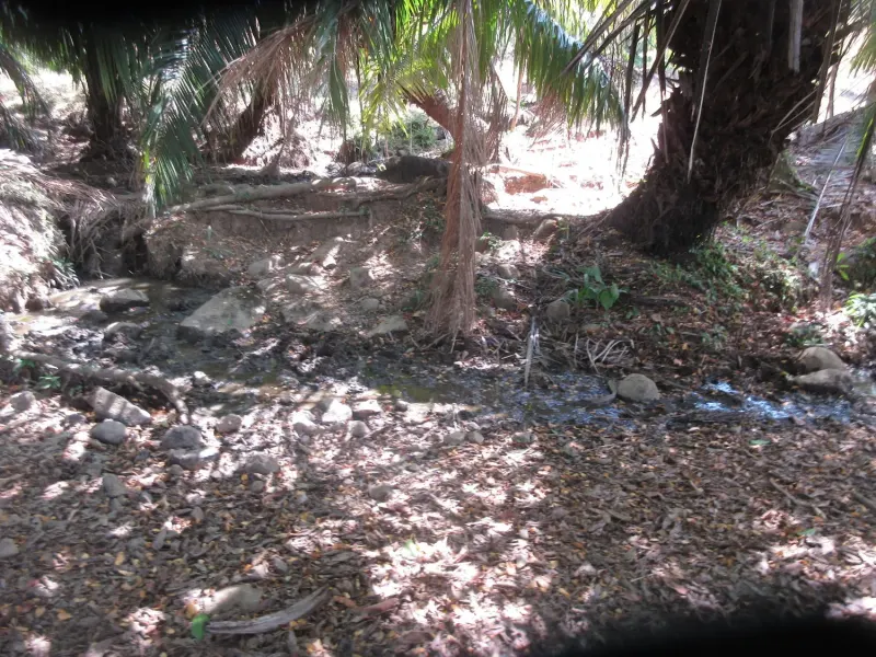Las Lomas Development - 2