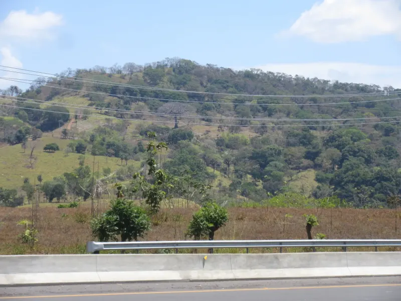 Las Lomas Development thumbnail 1