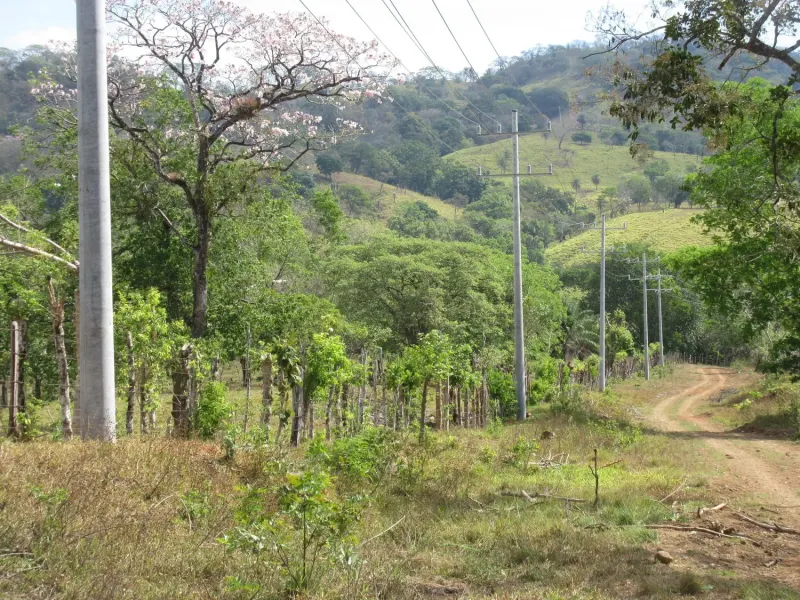 Las Lomas Development thumbnail 8