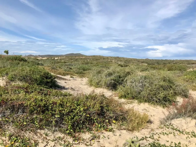Playa Tortuga 39 thumbnail 6