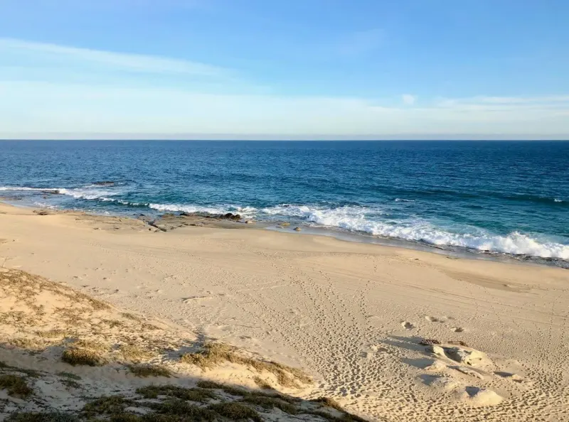 Playa Tortuga 39 thumbnail 7
