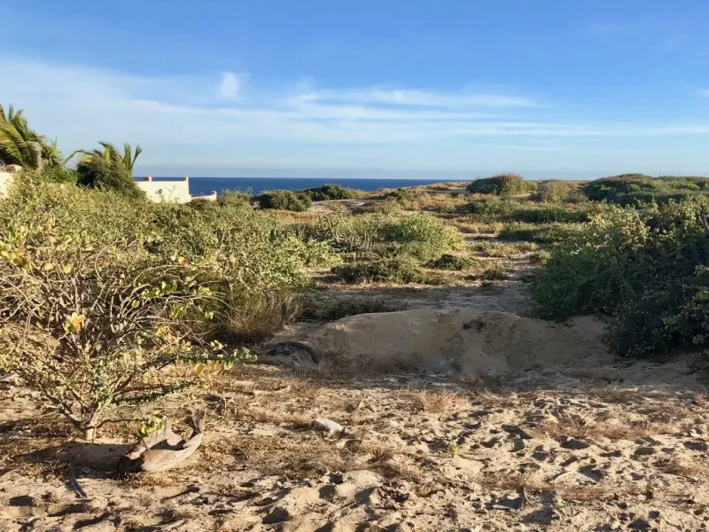 Playa Tortuga 39 - 2