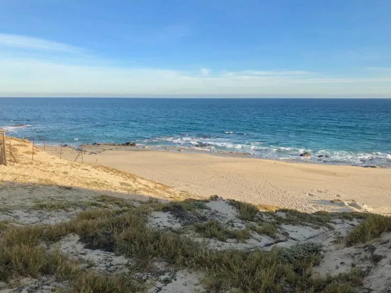 Playa Tortuga 14 - 2