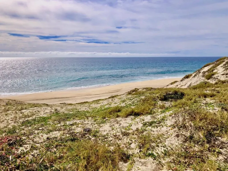 Playa Tortuga 14 thumbnail 6