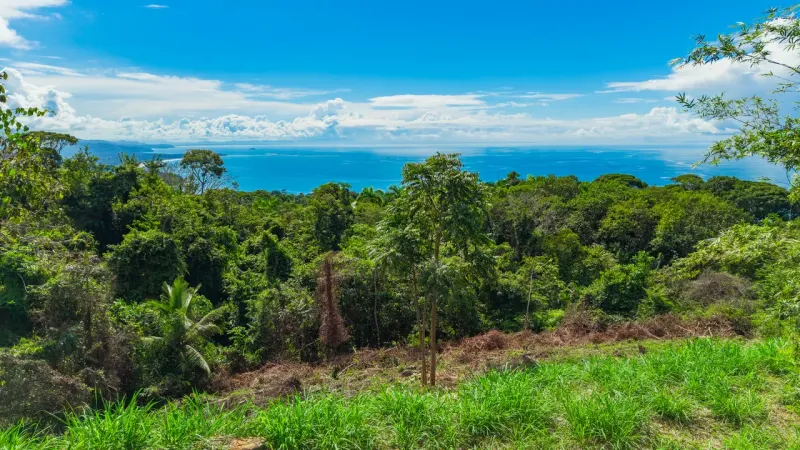 Luxury Ocean View Homesite in Escaleras Playa Dominical