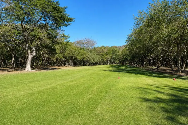 Golf View Lot for Sale in Hacienda Iguana – VLC 29 – Surf Colorados - 3