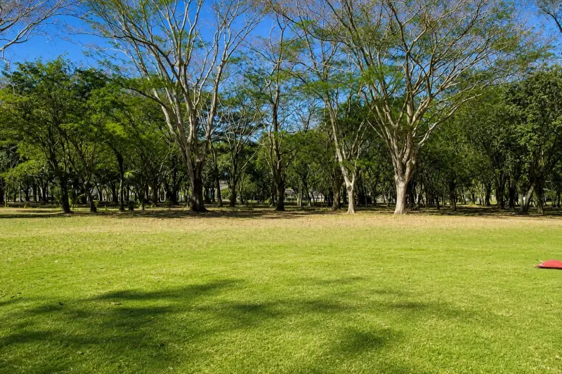 Golf View Lot for Sale in Hacienda Iguana – VLC 29 – Surf Colorados thumbnail 6