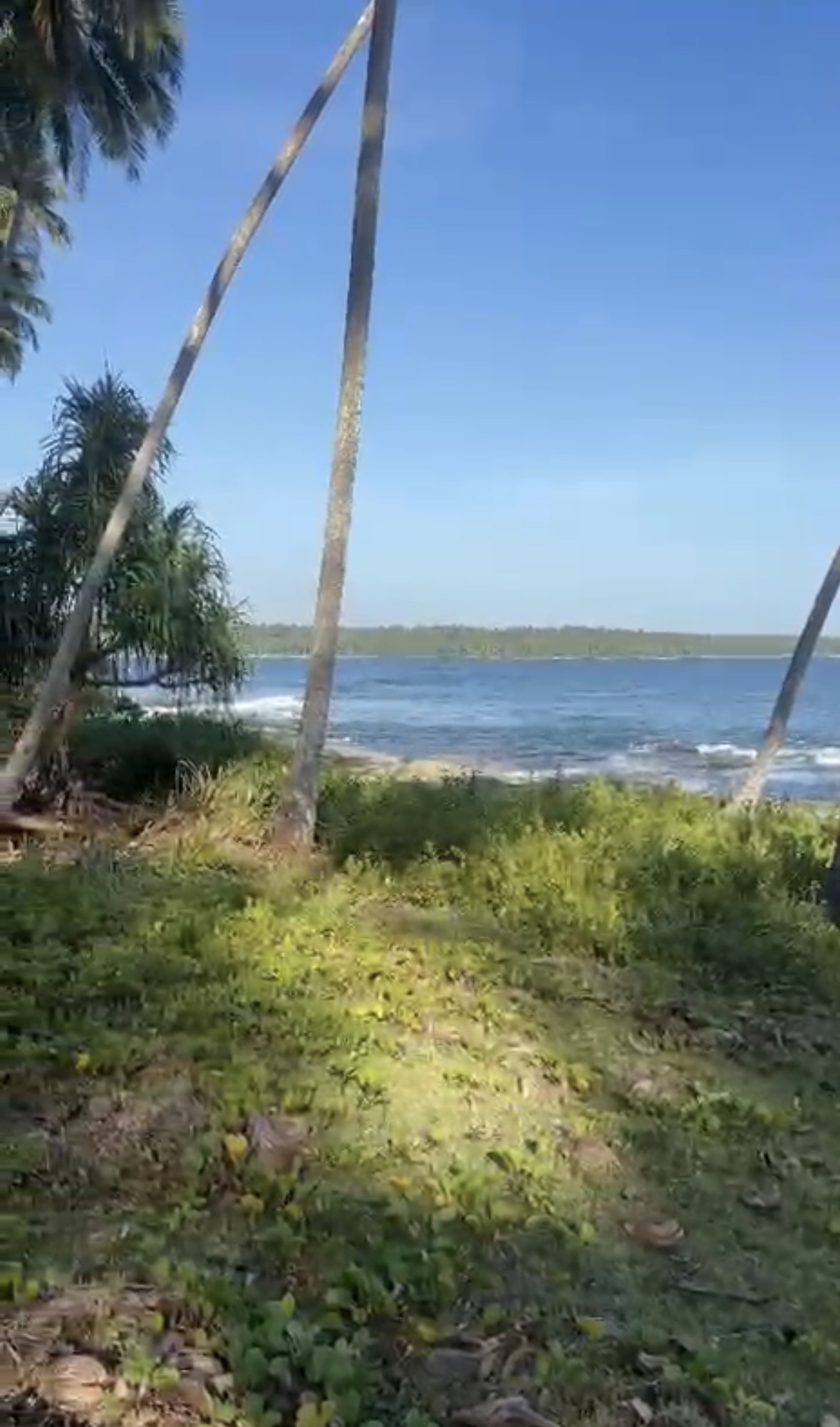 Suak lamatan, Indonesia
