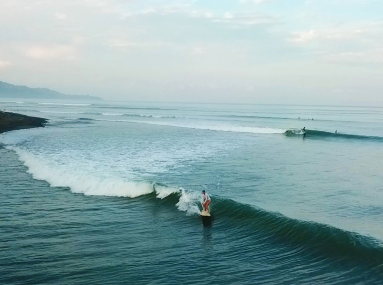 judi-pilon-pavones-costa-rica