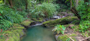 river-small-waterfall-pavones-costa-rica