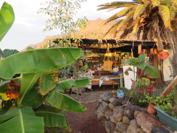 Surf-Camp-of-Tenerife