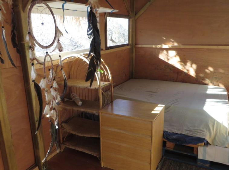 Surf-Camp-of-Tenerife