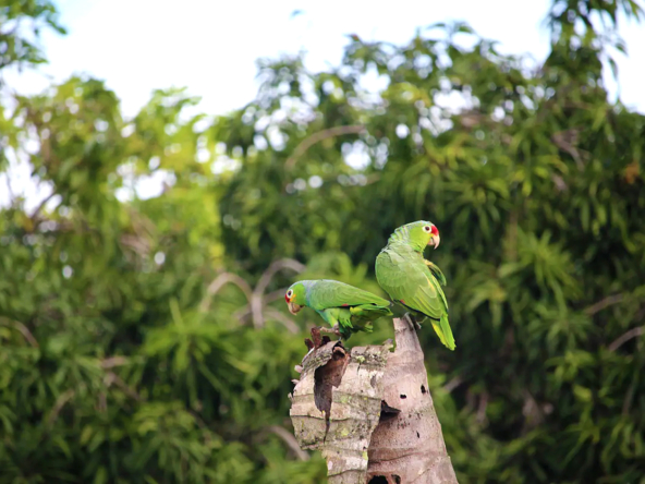 the-secret-garden-playa-zancudo