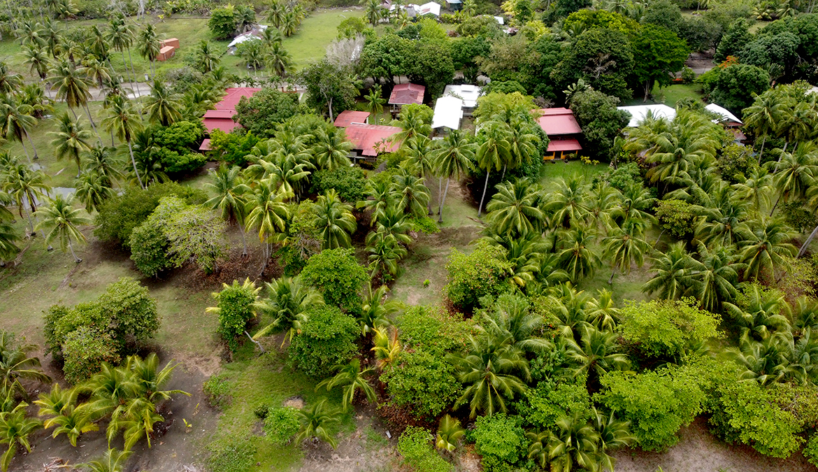 casa-zancudo-multiple-beachfront-homes