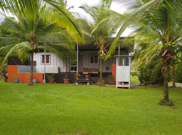 casa-envase-zandcudo-yard-front-scaled