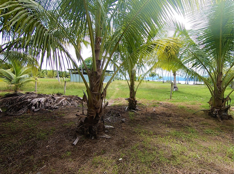 cute-yellow-house-playa-zancudo-3