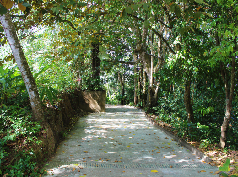pavones-yoga-center-for-sale