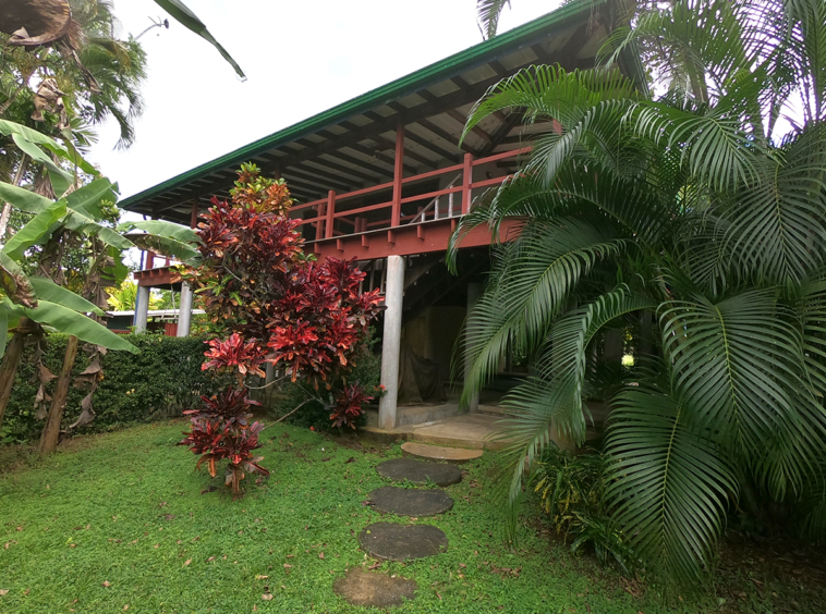 pilon-jungle-house-costa-rica
