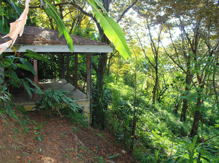 pavones-yoga-center-for-sale