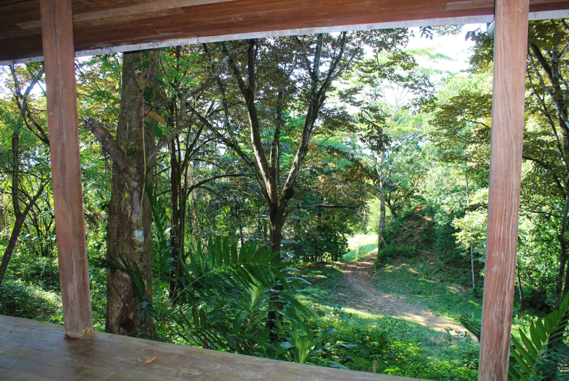 pavones-yoga-center-for-sale