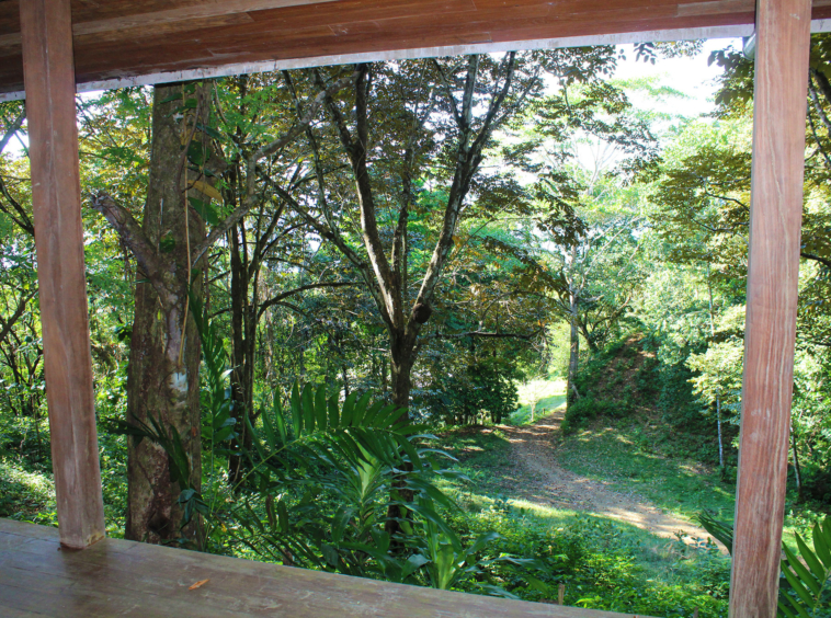 pavones-yoga-center-for-sale