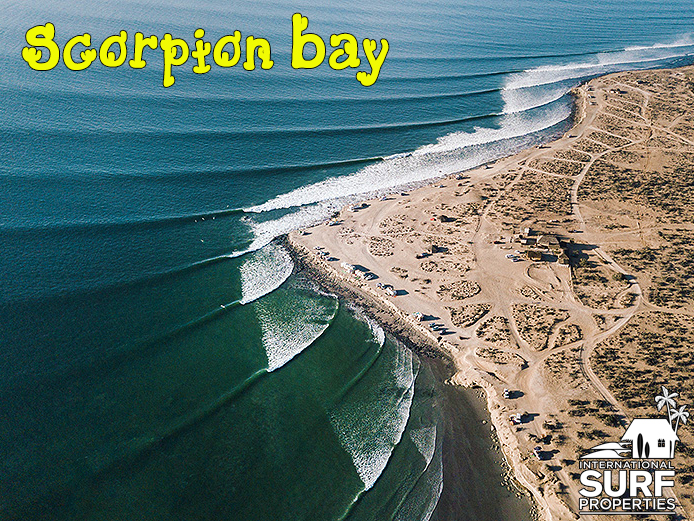scorpion-bay-baja-california-mexico-surf