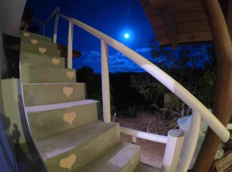 palo-alto-wave-house-casa-pilucha