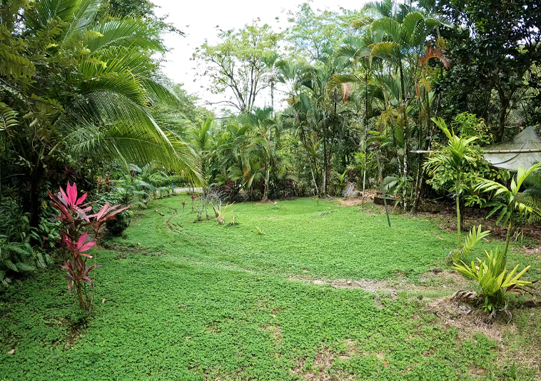 pavones-casa-roja-costa-rica-house-for-sale