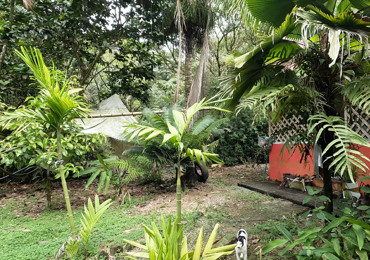 pavones-casa-roja-costa-rica-house-for-sale