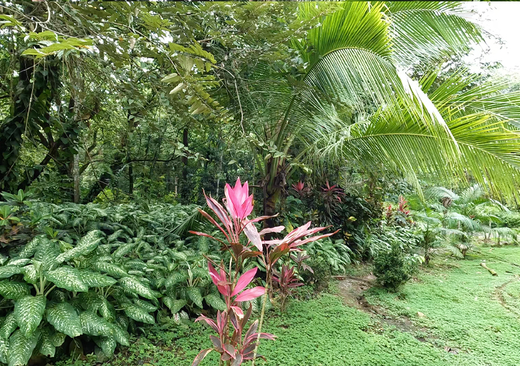 pavones-casa-roja-costa-rica-house-for-sale
