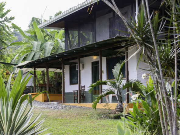 sonido-del-mar-pavones