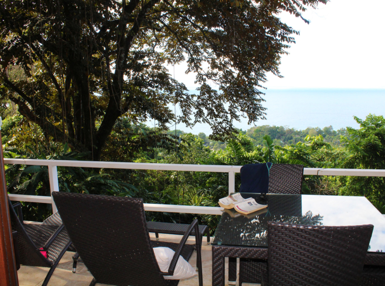 pavones-yoga-center-view