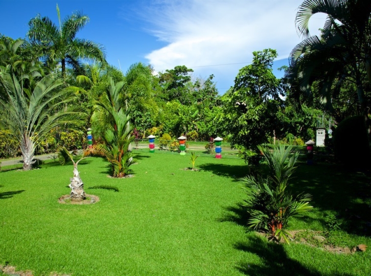 pavones_surf_camp_for_sale