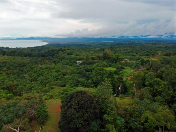 la-maravilla-de-pavon