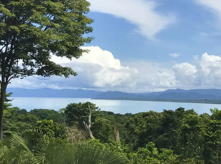 casa-belle-vista-pilon-pavones