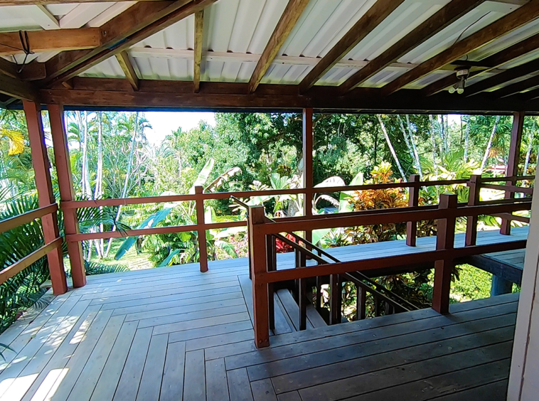 pilon-point-jungle-house-pavones-costa-rica