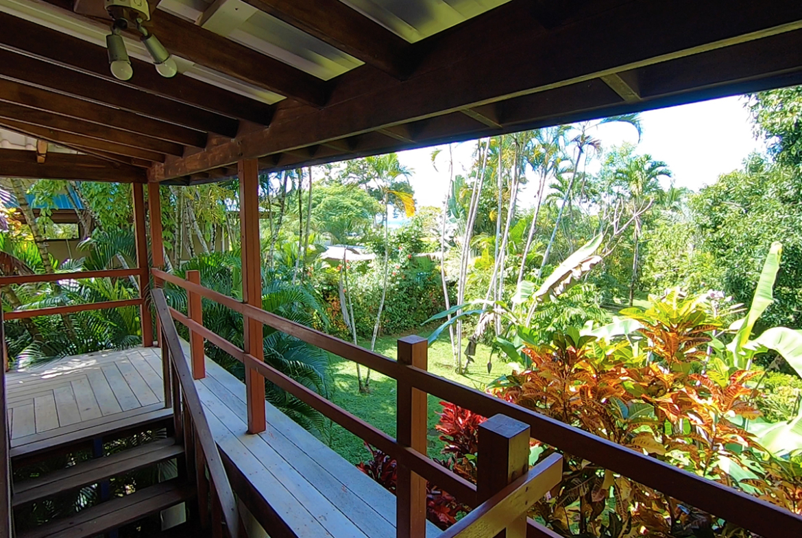 pilon-point-jungle-house-pavones-costa-rica