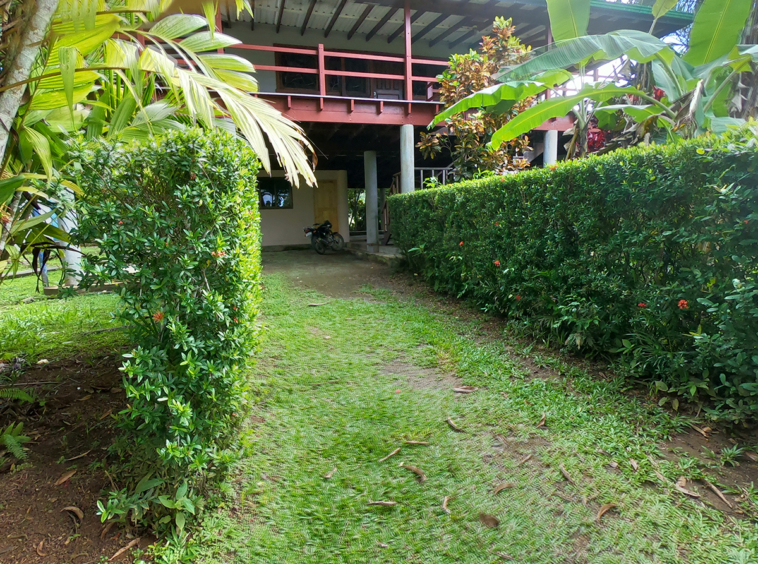 pilon-jungle-house-costa-rica